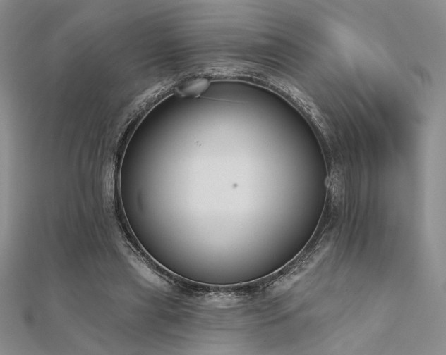 X0000112180445200908071330