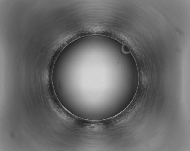 X0000112180447200908071330