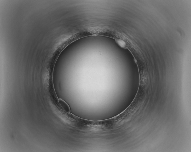 X0000112180448200908071330