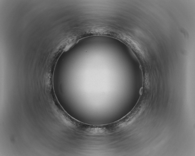 X0000112180449200908071330