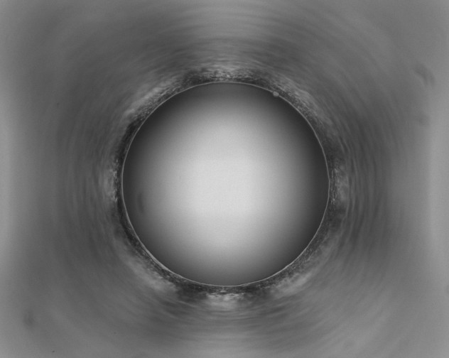 X0000112180450200908071330