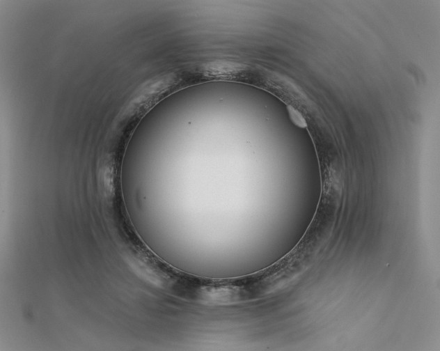 X0000112180452200908071330