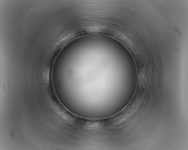 X0000112180454200908071330