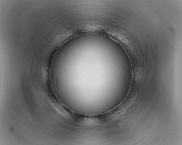 X0000112180455200908071330