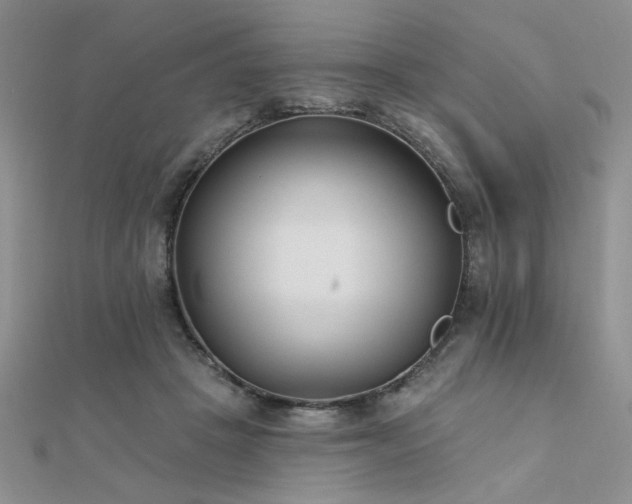 X0000112180457200908071330