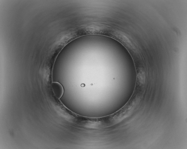 X0000112180458200908071330