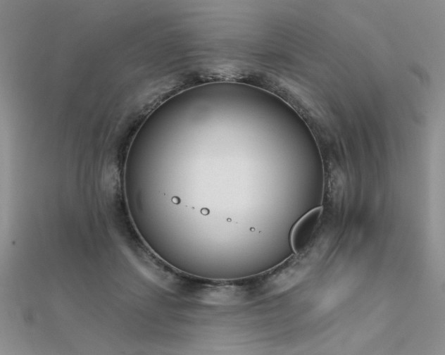 X0000112180459200908071330