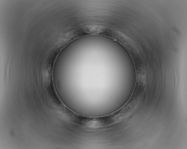 X0000112180460200908071330