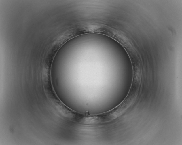 X0000112180461200908071330