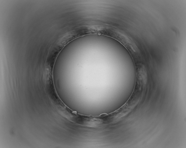 X0000112180463200908071330