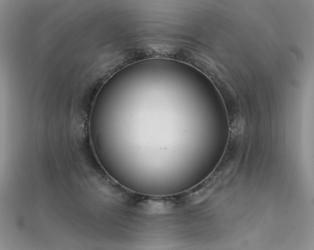 X0000112180464200908071330