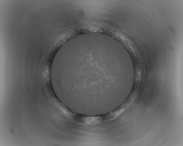 X0000112180465200908071330