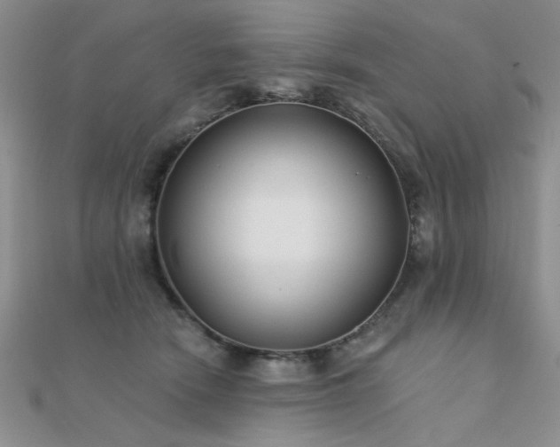 X0000112180466200908071330