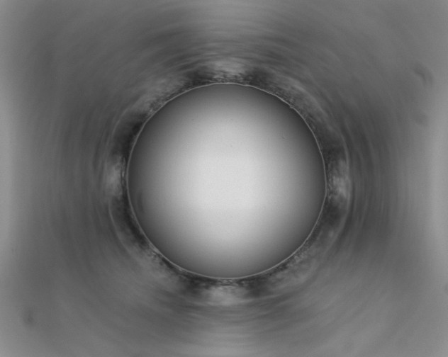 X0000112180468200908071330