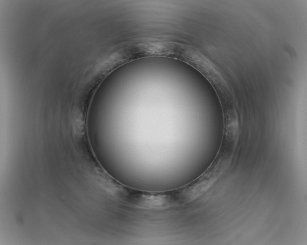 X0000112180469200908071330