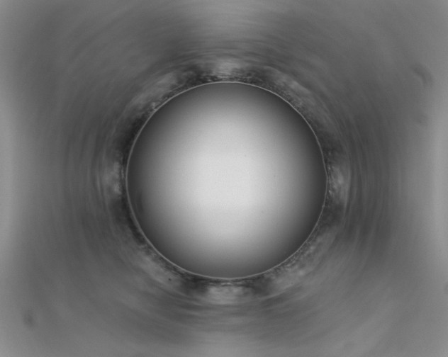 X0000112180470200908071330