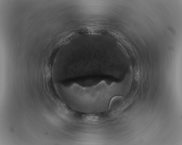 X0000112180471200908071330