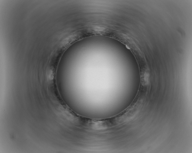 X0000112180472200908071330