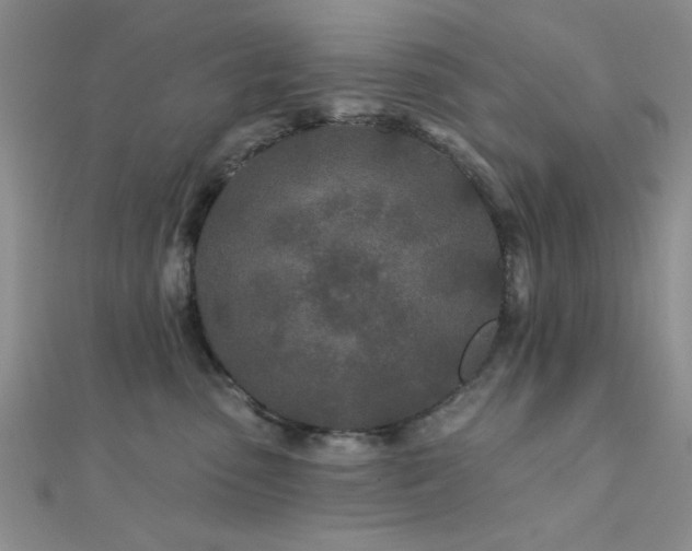 X0000112180475200908071330