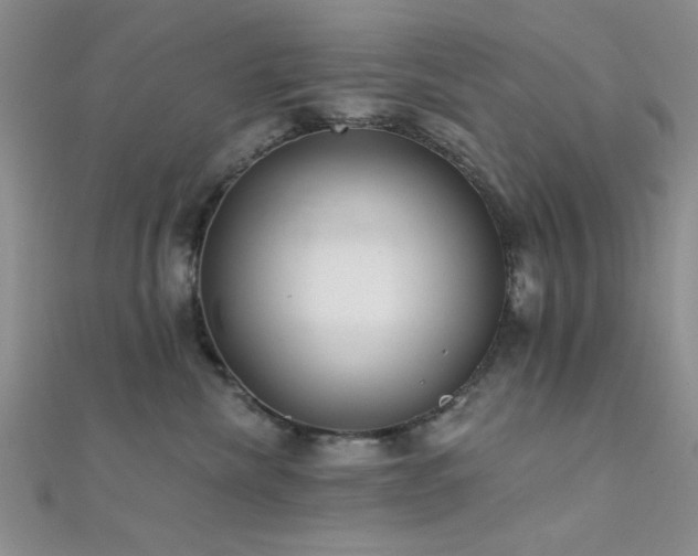 X0000112180476200908071330