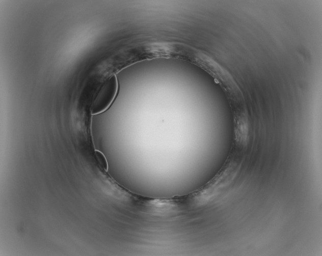 X0000112180477200908071330