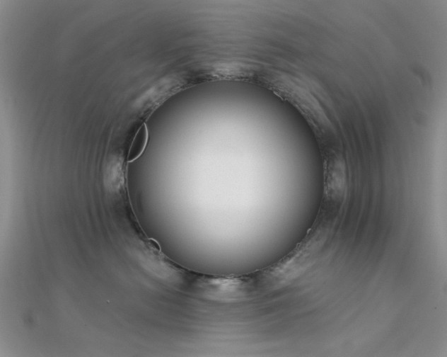 X0000112180478200908071330