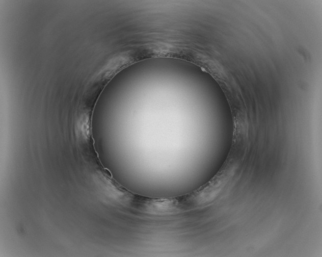 X0000112180479200908071330