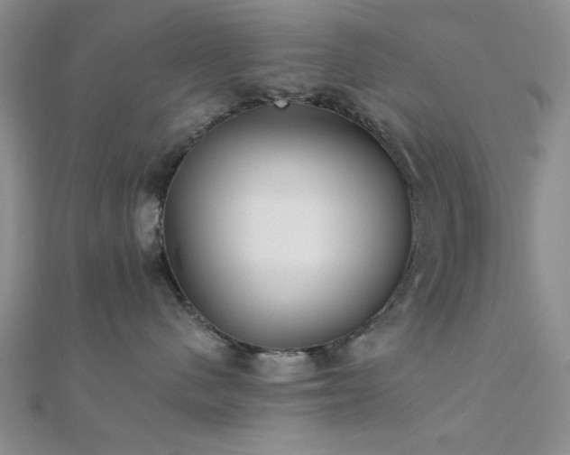 X0000112180480200908071330