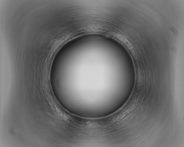 X0000112180481200908071329