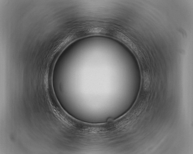 X0000112180482200908071329