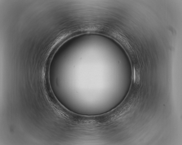 X0000112180483200908071329