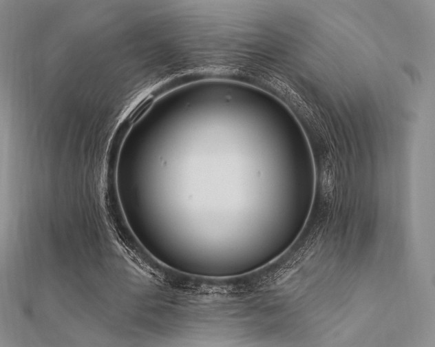 X0000112180484200908071329