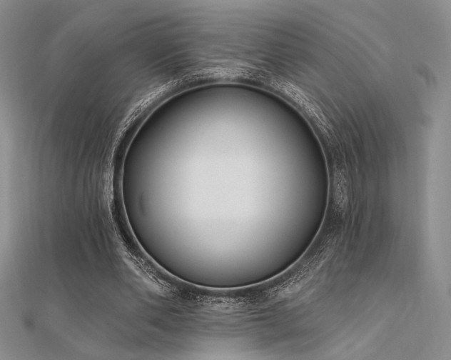 X0000112180486200908071329