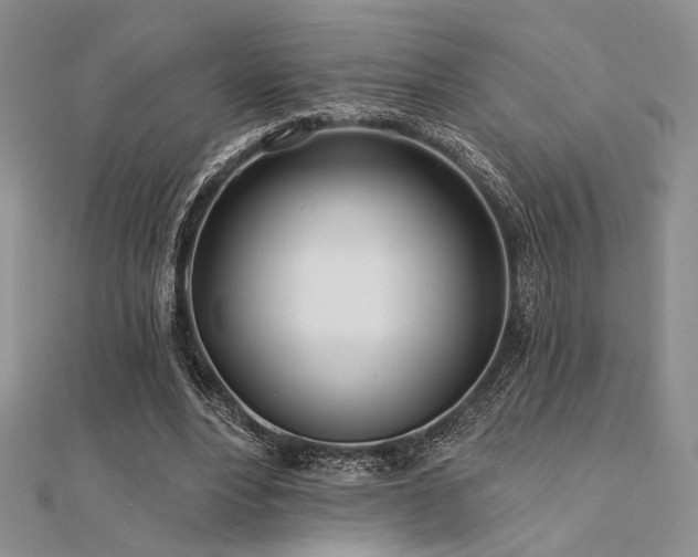 X0000112180488200908071329