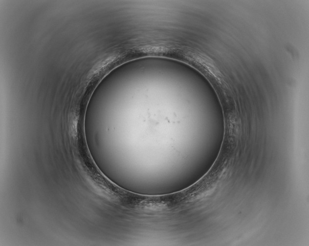 X0000112180491200908071329