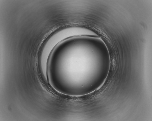 X0000112180492200908071329