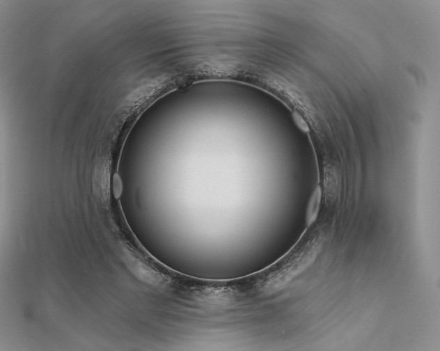 X0000112180493200908071329