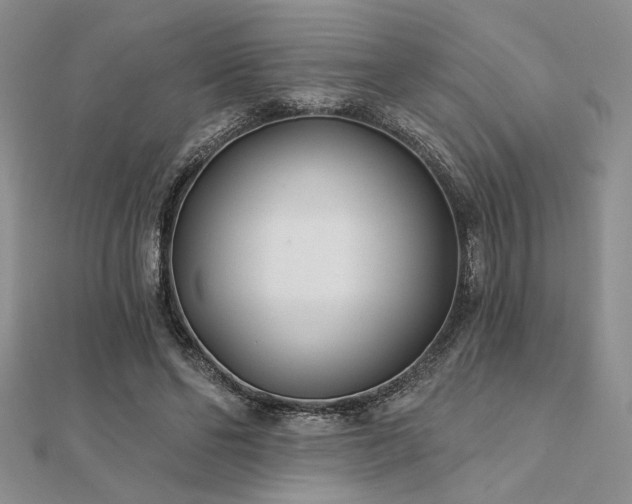 X0000112180494200908071329