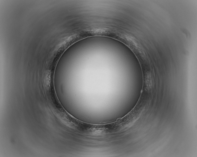 X0000112180495200908071329