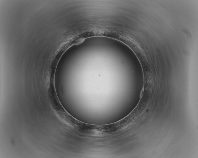 X0000112180496200908071329