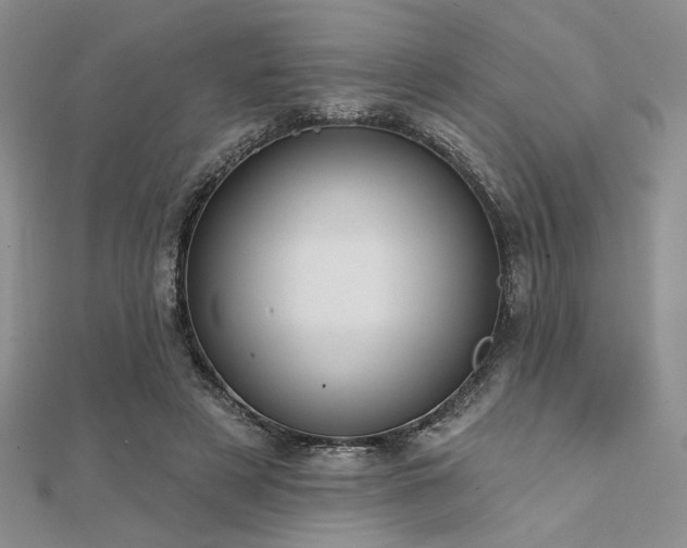 X0000112180497200908071329