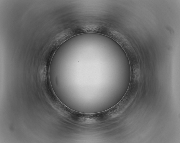 X0000112180498200908071329