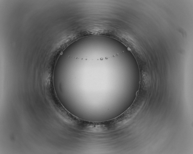 X0000112180499200908071329