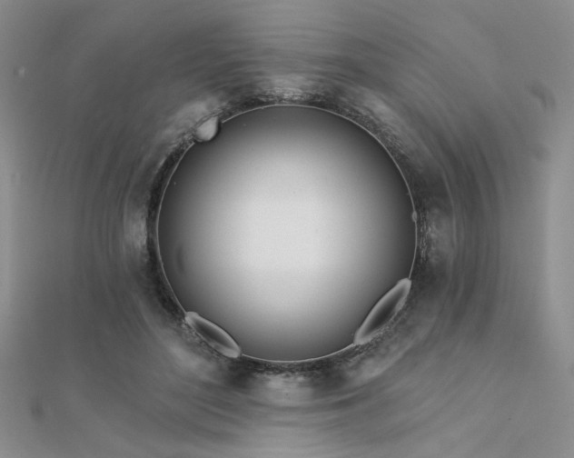 X0000112180500200908071329