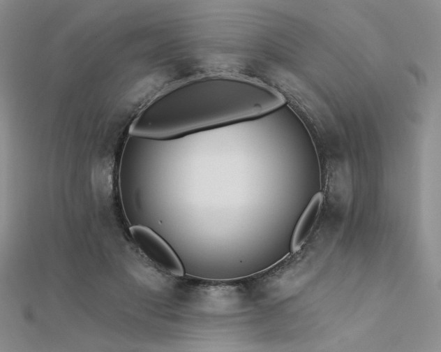 X0000112180501200908071329