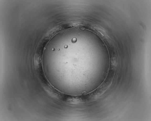 X0000112180503200908071329