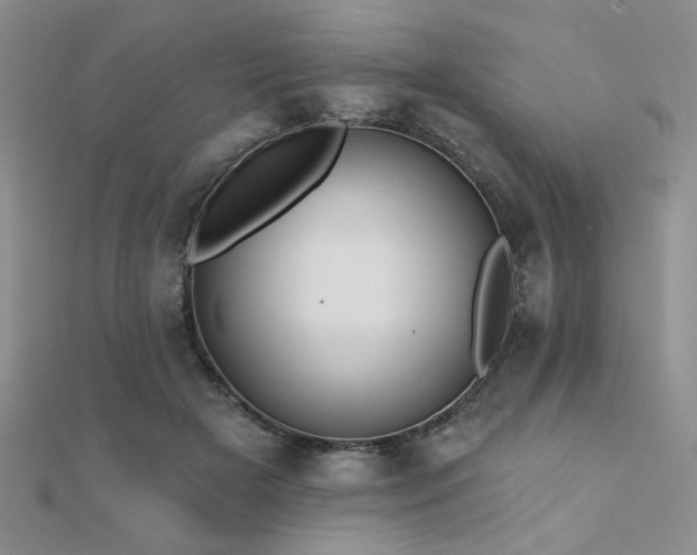 X0000112180505200908071329