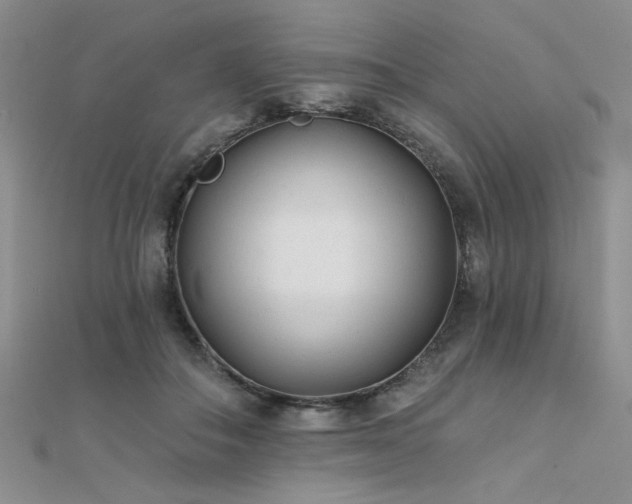 X0000112180506200908071329