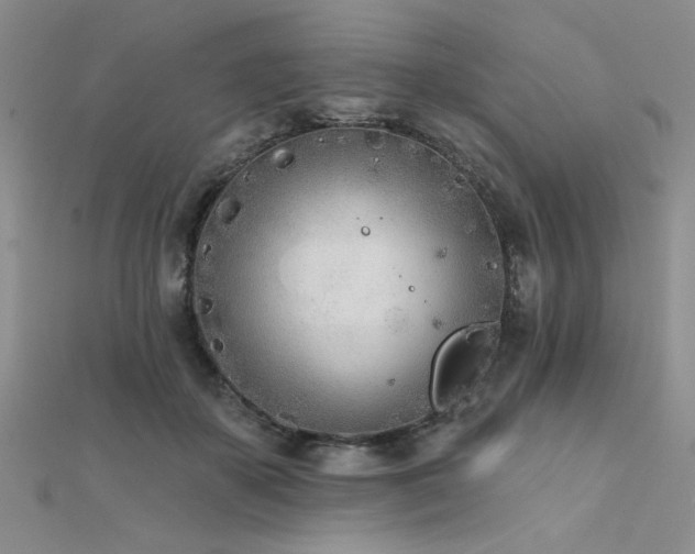 X0000112180507200908071329