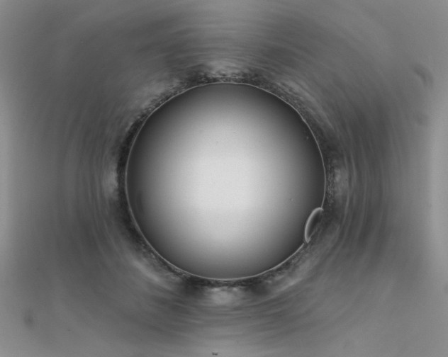 X0000112180508200908071329